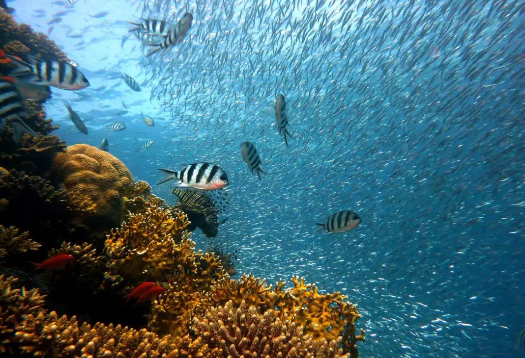 turismo de aventura coral