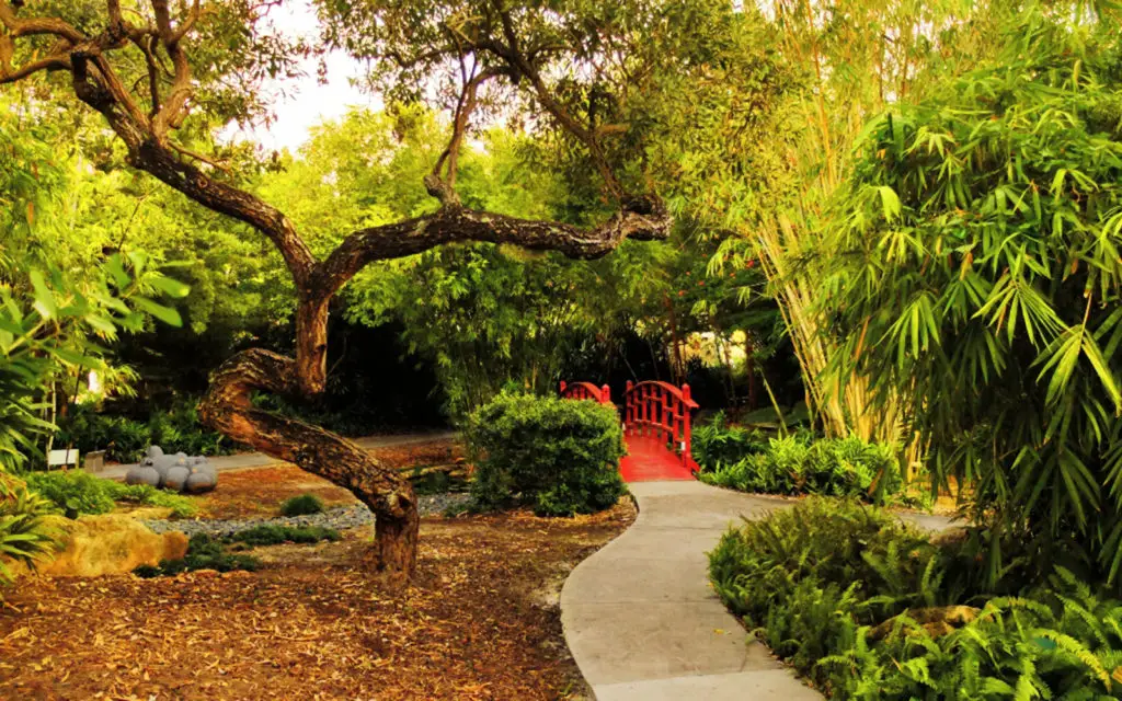 Parque botánico de Miami Beach
