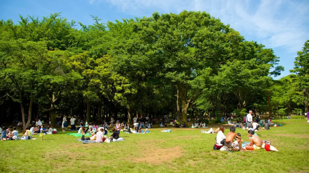 Parque Yoyogi tokyo