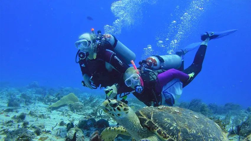 Lugares para hacer snorkel y buceo en Riviera Maya: Cozumel