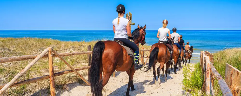 Paseo a caballo en Menorca. Precios, recorridos y consejos