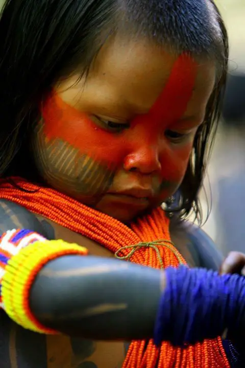cuales son los pueblos indigenas de argentina