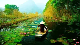 quelle est la meilleure pÃ©riode pour voyager au Vietnam