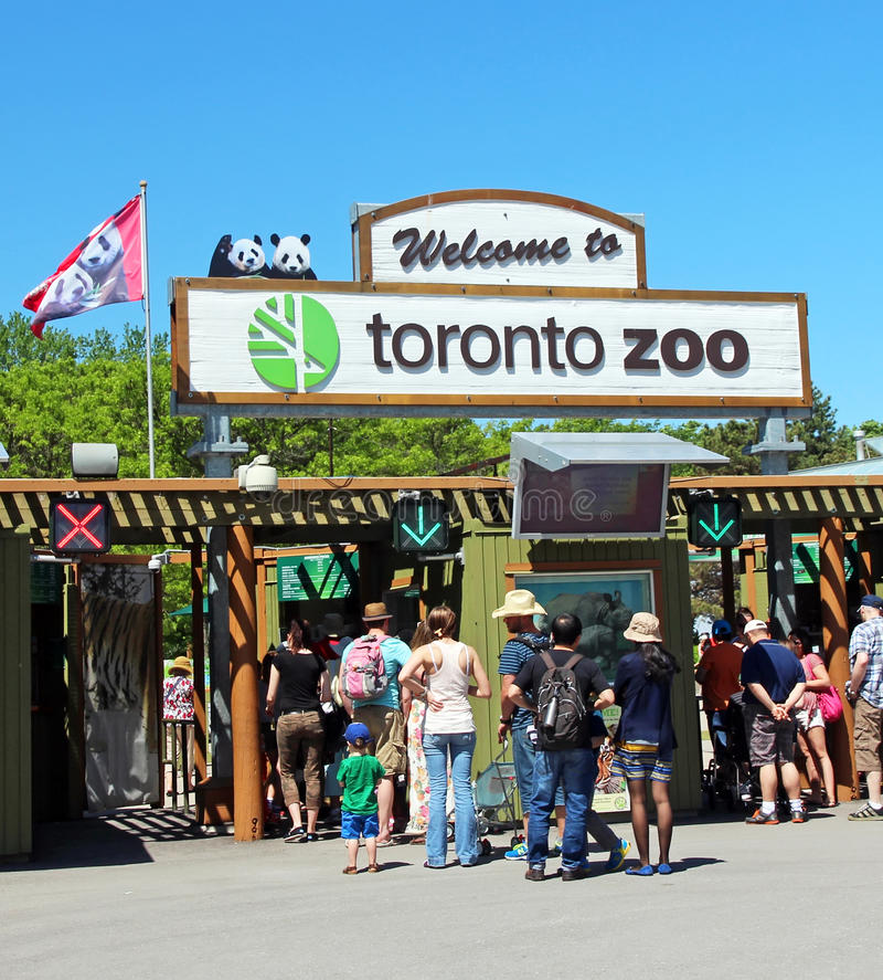 Qué hacer en Toronto: los 20 mejores lugares para visitar