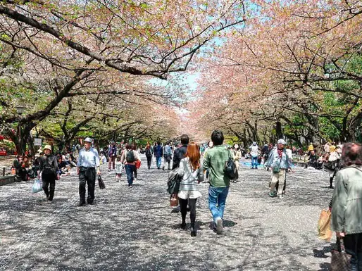 Parc d'Ueno