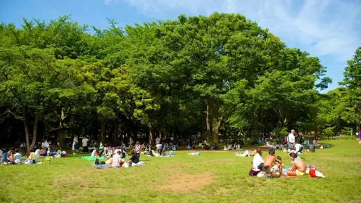 Parc Yoyogi Tokyo