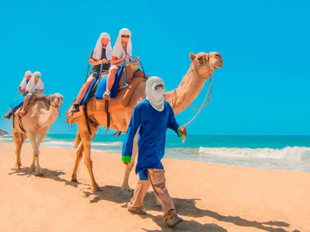 tour camellos en los cabos