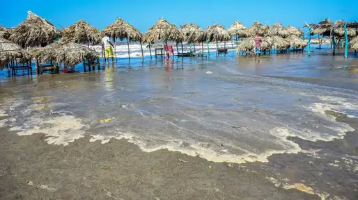 Les meilleures plages de Barranquilla : Playa Miramar