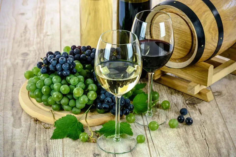 Mendocino et Sonoma : un monde de vins californiens