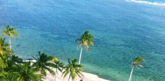 Playas que debes visitar en Veracruz