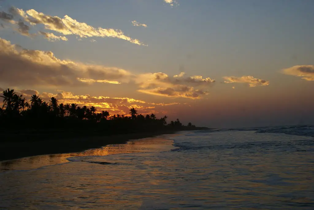 Playas de Veracruz: Playa las Palmitas Agua Dulce