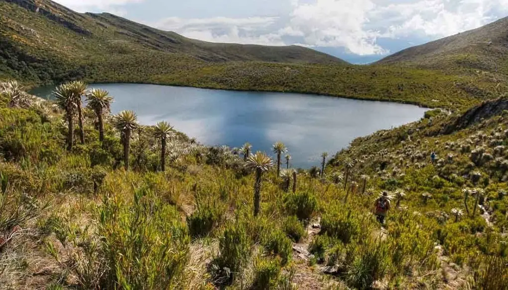 mejores parques nacionales naturales de Colombia