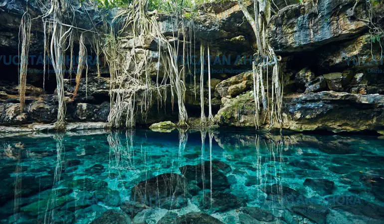 Cenote Noh Mozón Mérida Yucatán
