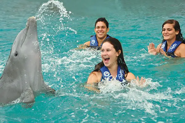 Nado con delfines en Garrafón, Isla Mujeres