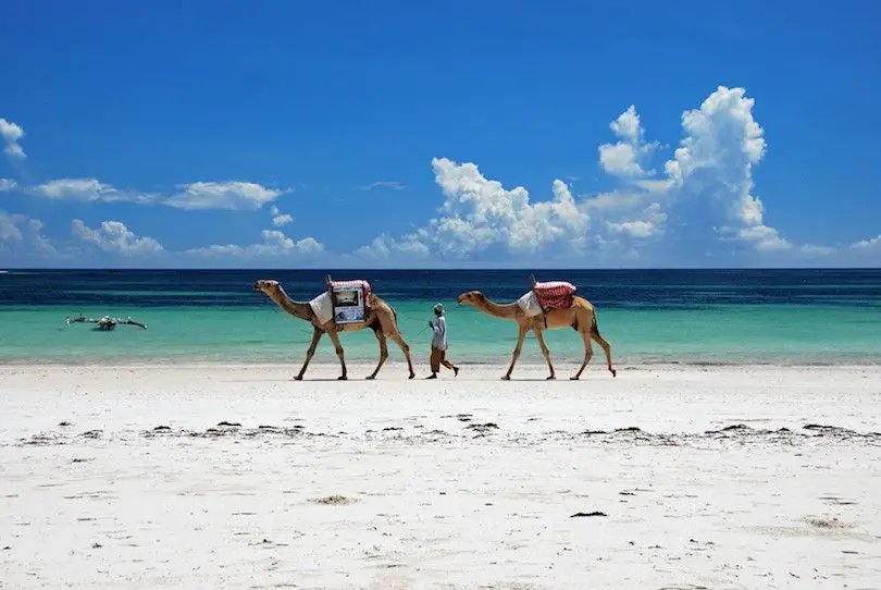 Las mejores playas de Kenia