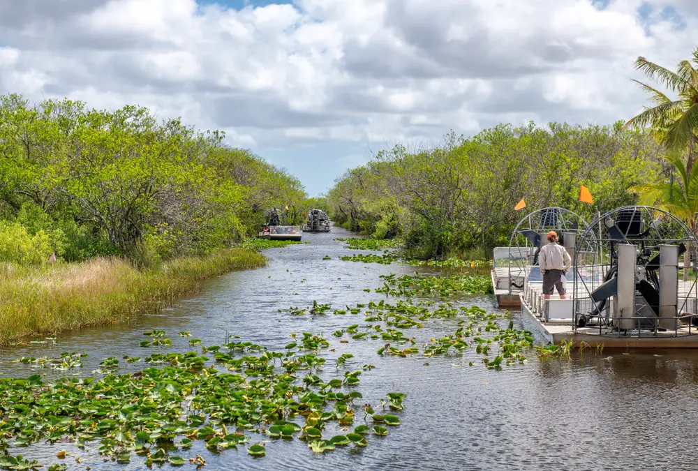 Recorrer Los Everglades al visitar Ft Lauderdale